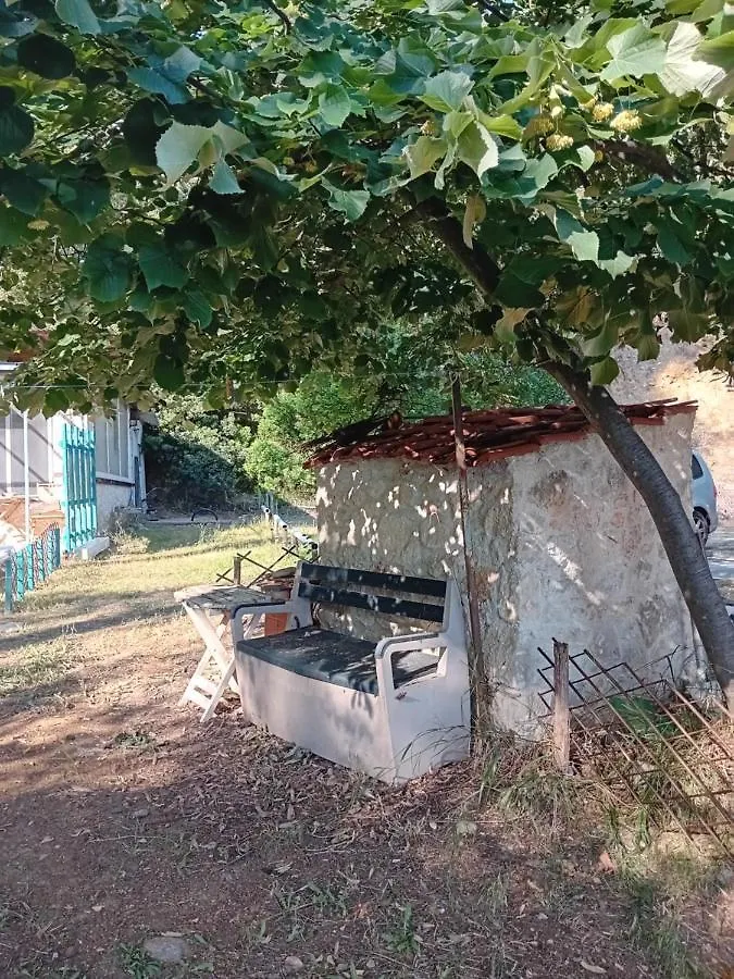 Casa vacanze Villa Billys Dreams Nea Skioni